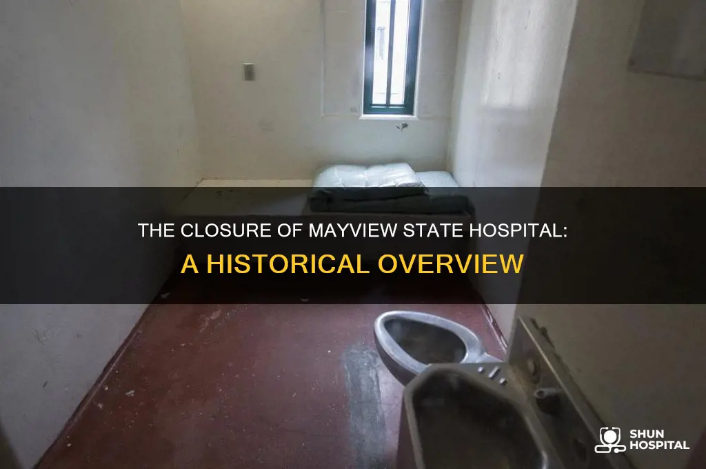 what year did mayview state hospital closed