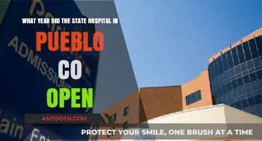 Pueblo CO State Hospital: Unveiling Its Historic Opening Year