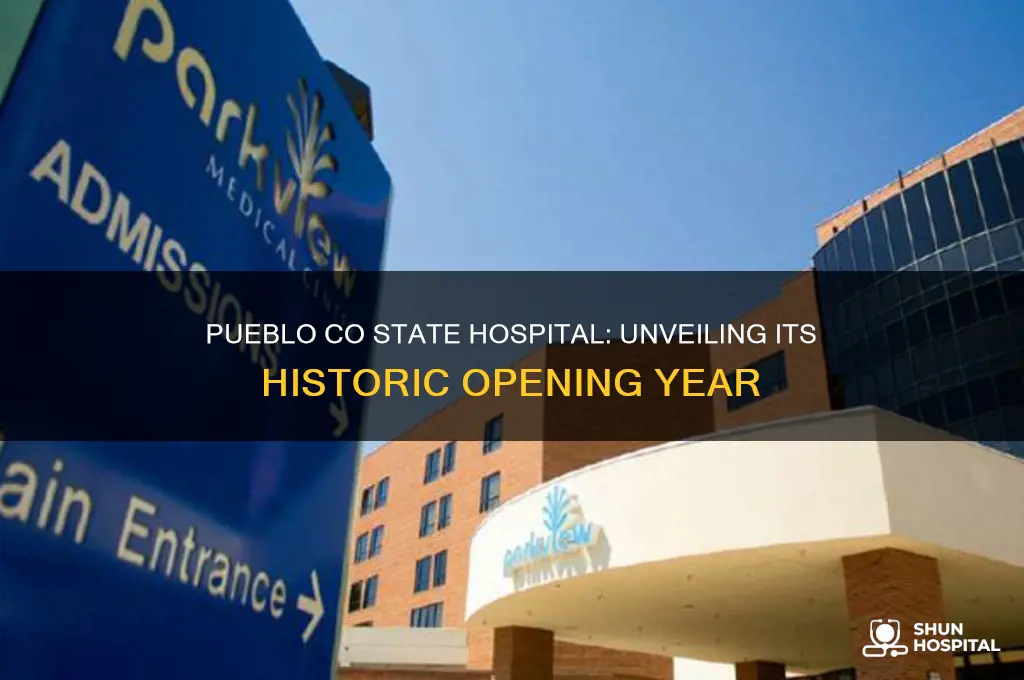 what year did the state hospital in pueblo co open