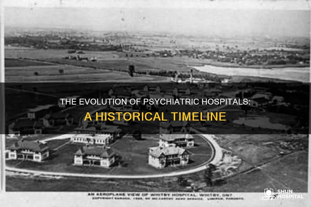 what year did we have psychiatric hospitals