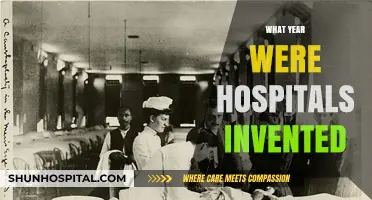 Exploring the Origins: A Historical Journey to the First Hospitals