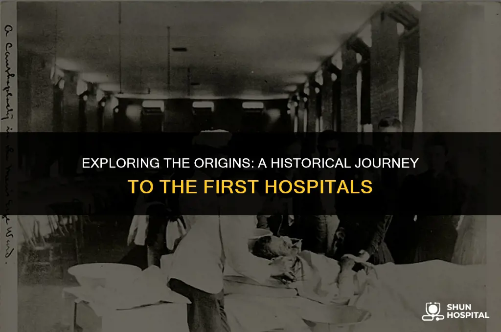 what year were hospitals invented