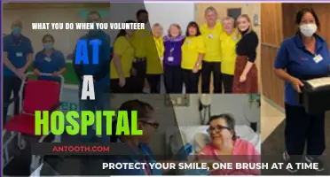 Volunteering at a Hospital: Roles, Impact, and Meaningful Ways to Help