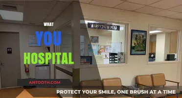 Exploring the Depths of Healthcare: What You Need to Know About Hospitals