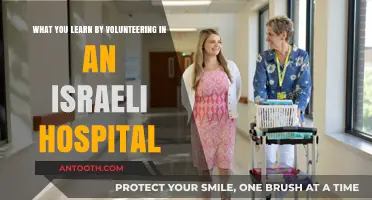 Volunteering in Israeli Hospitals: Lessons in Compassion, Resilience, and Cultural Unity