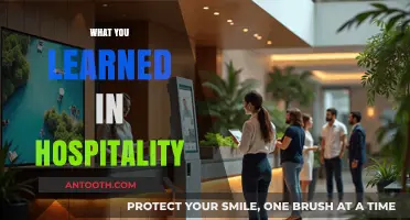 Insights from the Heart of Hospitality: My Journey and Learnings