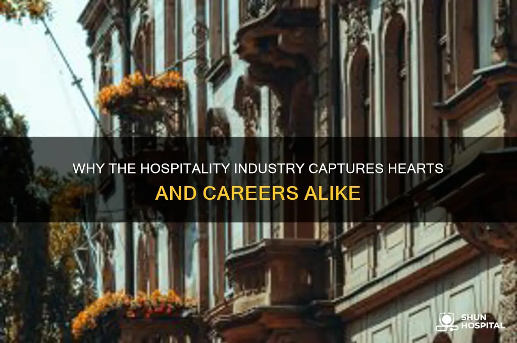 what you like about the hospitality industry