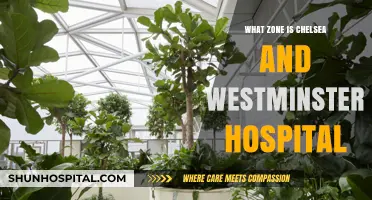 Chelsea and Westminster Hospital's Location: Understanding Its Zone in London