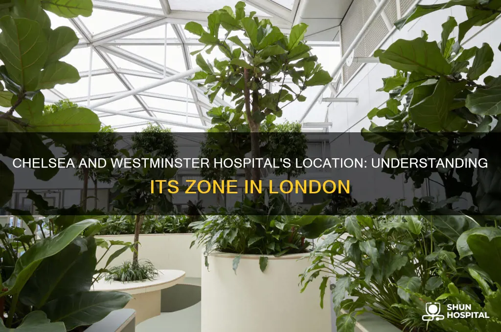 what zone is chelsea and westminster hospital