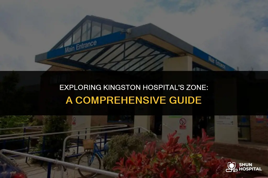 what zone is kingston hospital