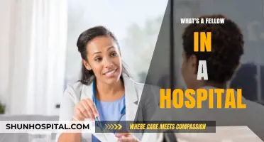 Understanding Hospital Fellows: Roles, Responsibilities, and Impact on Patient Care