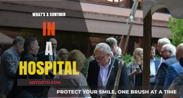 Understanding the Role of a Gunther in Hospital Settings