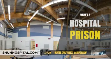 Behind Bars: Understanding the Concept of a Hospital Prison