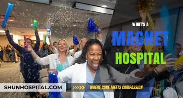 Understanding Magnet Hospitals: A Comprehensive Guide to Excellence in Nursing Care