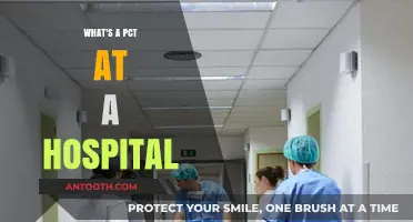 Understanding the Role of a PCT in Hospital Patient Care