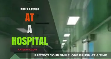 Understanding the Role of a Hospital Porter: Duties and Importance
