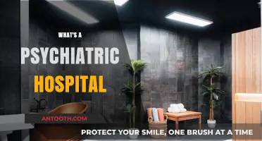 Understanding Psychiatric Hospitals: Care, Treatment, and Mental Health Support