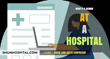 Understanding the Role of a Hospital Scribe: Duties and Impact