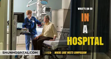 Understanding the Role of an ED in Hospital Emergency Care