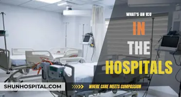 Understanding the ICU: A Critical Care Unit in Hospitals