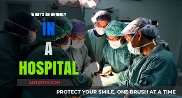 Understanding the Role of an Orderly in Hospital Operations