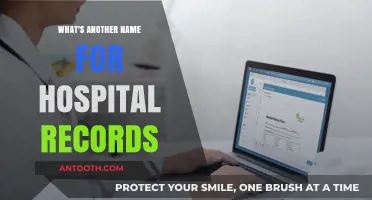 Alternative Terms for Hospital Records: Exploring Synonyms and Their Uses