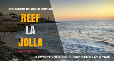 Unveiling the Story: Hospitals Reef La Jolla's Name Origin Explored