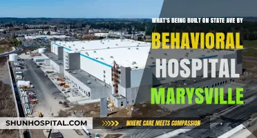 New Development on State Ave: What's Rising Near Marysville Behavioral Hospital?