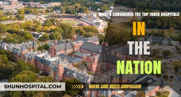 Discover the Nation's Top Three Leading Hospitals in Healthcare Excellence