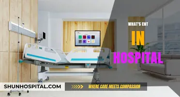 Exploring the Ups and Downs of Hospital Entertainment