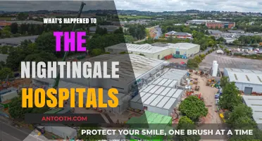 Nightingale Hospitals: Their Fate and Legacy Post-Pandemic