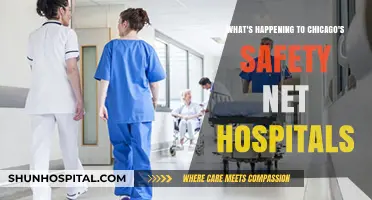 Chicago's Safety Net Hospitals: Challenges, Changes, and Community Impact