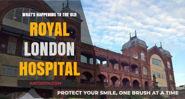 The Fate of the Old Royal London Hospital: A Historic Transformation