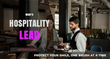 Exploring the Role of a Hospitality Lead: Your Guide to Success