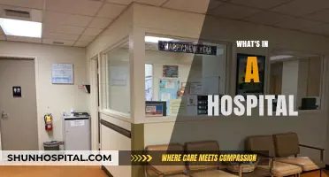 Exploring the Lifeline: A Comprehensive Look Inside Hospitals