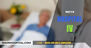 Unveiling the Mysteries: What's Really in a Hospital IV?