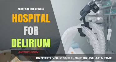 Navigating Delirium: Inside the Hospital Experience and Patient Care