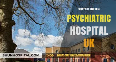 Inside a UK Psychiatric Hospital: A Personal Experience and Overview