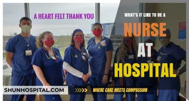 Life on the Frontlines: A Nurse's Hospital Experience Revealed