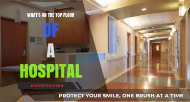 Exploring the Top Floor: Secrets and Surprises in Hospitals