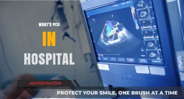 Understanding PCU: A Comprehensive Guide to Progressive Care Units in Hospitals