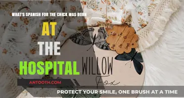 Spanish Translation: The Chick's Hospital Birth in Spanish Explained