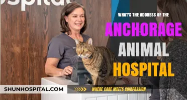 Anchorage Animal Hospital Address: Location and Contact Information Guide