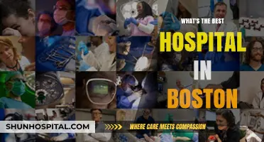 Discovering Boston's Top Hospital: A Comprehensive Guide to Excellence