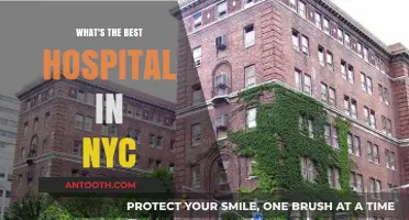 Top NYC Hospitals: Ranking the Best Healthcare Facilities in New York City