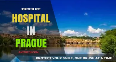 Discover Prague's Top Hospital: Expert Care and Patient Excellence