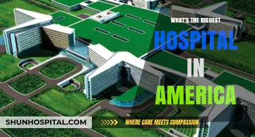 Exploring America's Largest Hospital: Size, Capacity, and Impact