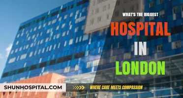 Exploring London's Largest Hospital: Size, Services, and Significance