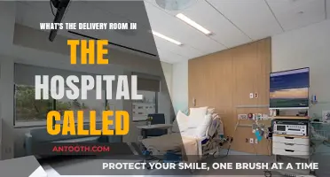 Understanding the Name of the Hospital Delivery Room: A Quick Guide
