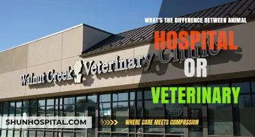 Animal Hospital vs. Veterinary Clinic: Understanding the Key Differences